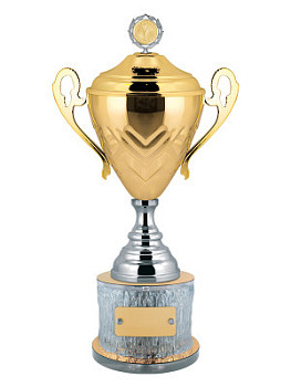 Кубки престижные - KM2786-Z